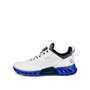 ECCO BIOM C4 GORE-TEX BOA HERREN